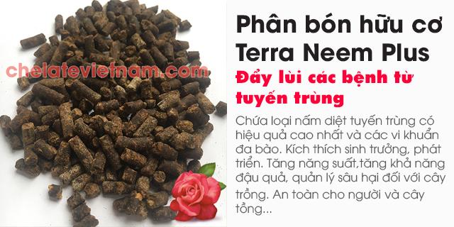 Ban Phân bón hữu cơ Terra Neem Plus - Đẩy lùi các bệnh từ tuyến trùng